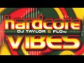 Dj Taylor & Flow - Hardcore Vibes (Short Mix ...