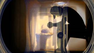 SCIMMIA Eugenio Finardi