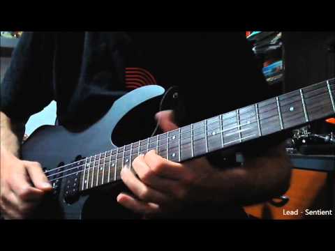 Seymour Duncan Pegasus and Sentient Demo