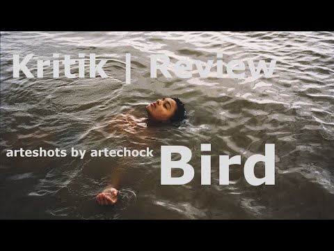 arteshot 335 - Bird | Kritik/Review/Rezension