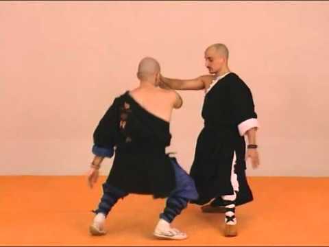 Tai chi chuan Combat