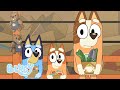 The Checkout Hammerbarn Series 2 Bluey