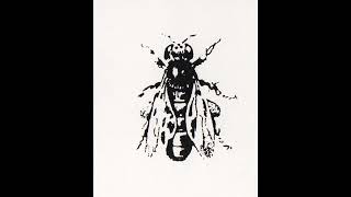 Beequeen - Golden Circle