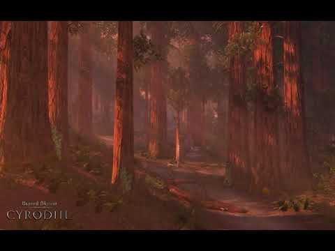 Beyond Skyrim Cyrodiil Redwood Forest
