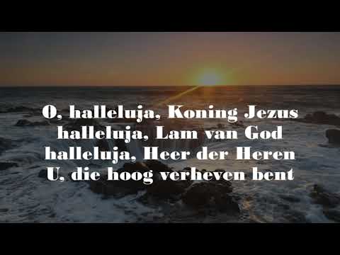 Opwekking met tekst 401 Koning Jezus