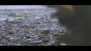 Download lagu Literasi 1 menit . Tentang cinta story wa mp3 Download lagu Literasi 1 menit . Tentang cinta story wa mp3