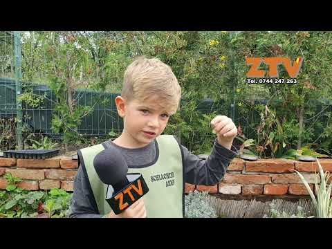 Aiden prezinta vremea