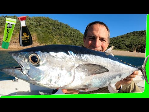 50km offshore - 2 Days Solo boat Camping - Catch and Cook - Tropical Islands - EP.565