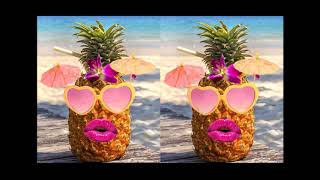 LA PIÑA - RADIO 69 (video lyrics)