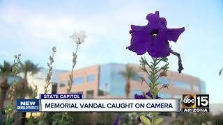 Phoenix veteran&#39;s memorial vandal caught on camera