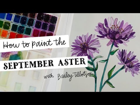 How to Watercolor paint the September Birth Flower -- Aster Outline