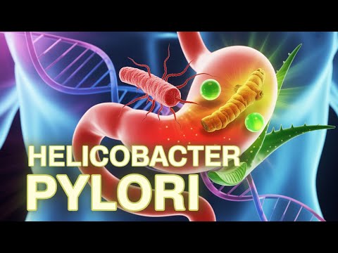 8 Zgjidhje Natyrale Kundër Bakterit të Rrezikshëm në Stomak – Helicobacter Pylori