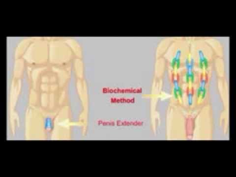 Do Peptides Increase Penis Size? A Realistic Look At The Evidence  [md2bWENEoTs]