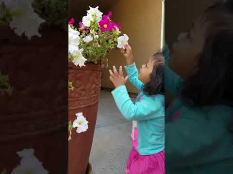 Samanvi playing with flower