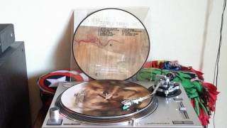 Heaven Shall Burn - No One will shed a tear (Heaven Shall Burn VS Caliban Picture Disc)