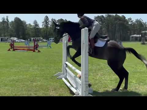 Stannis - Jump video