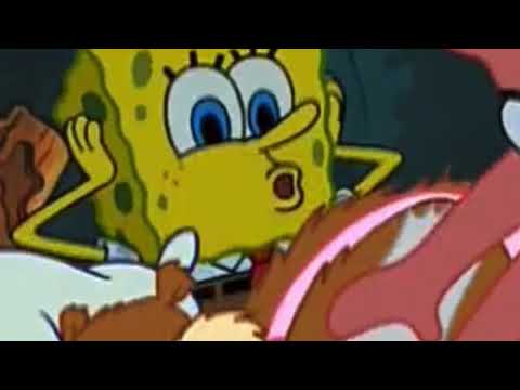 Damn, I messed up, we gotta go bald (SpongeBob)
