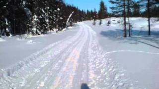 Santa Claus is Back in Town