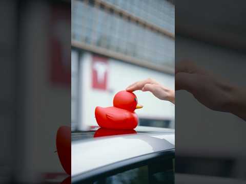 Video Thumbnail: Sensitive Seats | Model Y L