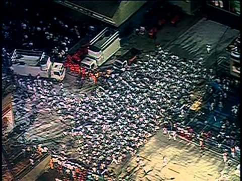 Compacto Oficial Carnaval 2005 - Unidos do Porto da Pedra