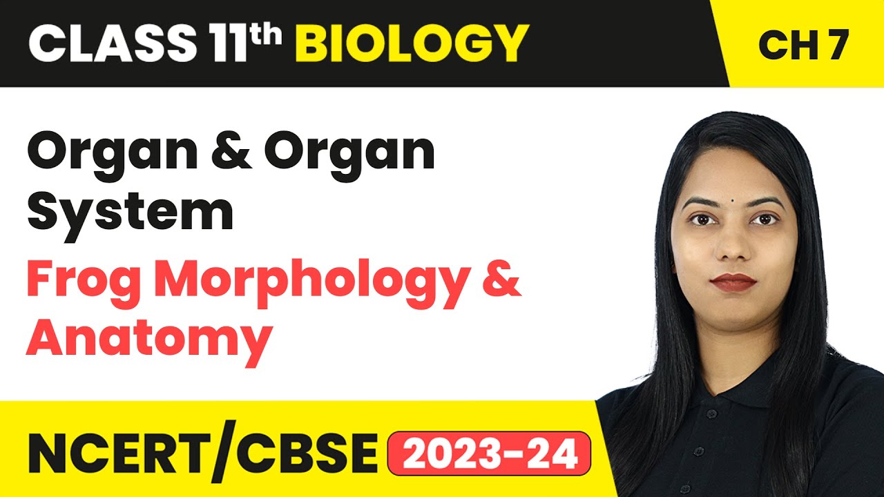 Organ & Organ System, Frog Morphology & Anatomy - Structural Organisation in Animals | Class 11 Bio
