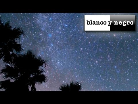 Max Zotti Feat. Iossa - Leap Of Faith (Official Lyric Video)