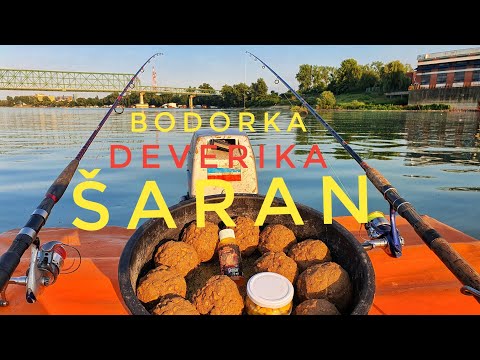 FEEDER I BODORKA NA SECERAC  - DEVERIKA NA CRVA - SARAN NA CUK