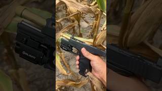 Psa dagger SW4 slide with gold honeycomb barrel🫣 #trending #viral #legallydangerous #guns #shooting