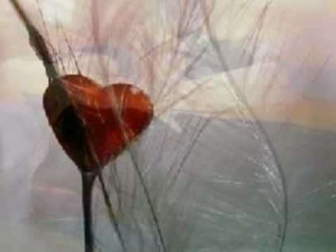 Pledging My Love (Cover)