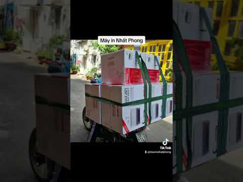 hinh anh hoat dong cua cty nhat phong