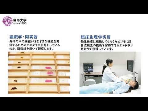 臨床検査技術学科ー学科長あいさつ