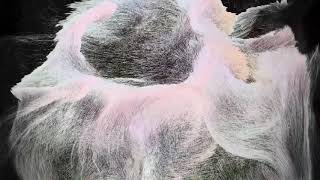 Tendrils short film intro ~ project @ epok.tech, Storyland