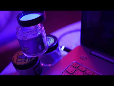 Juss LaLa - I'm Full ( Official Video)