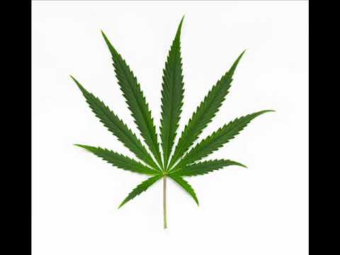 drebenG - Натисни газта (Official audio 2018)