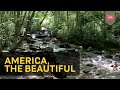 America, the Beautiful