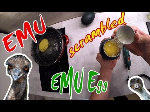 , title : 'Praženička z vajíčok Emu hnedého, Pštrosí míchané vejce,  Scrambled of emu egg'