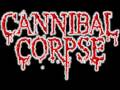 Cannibal Corpse Nothing Left To Mutilate