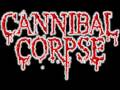 Cannibal Corpse Nothing Left To Mutilate 