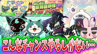 ぷにぷに『ウォッチの蓮を作るまで〇連！こんなチャンスはやるしかないけど…』Yo-kai Watch