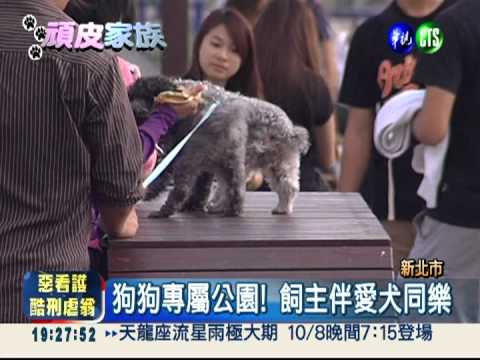 狗狗障礙賽! 上百隻犬共襄盛舉