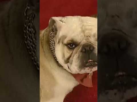 Eda Bunalıma Girdi! #sihirliannem