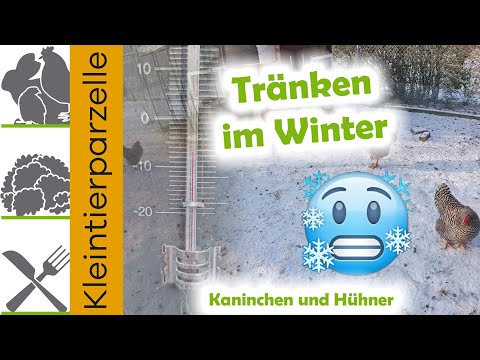 Tränken im Winter bei Minus Grade Unsere Trick 17 Lösung