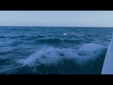 MY SISU - a Nordhavn 47 on her way to the north.....