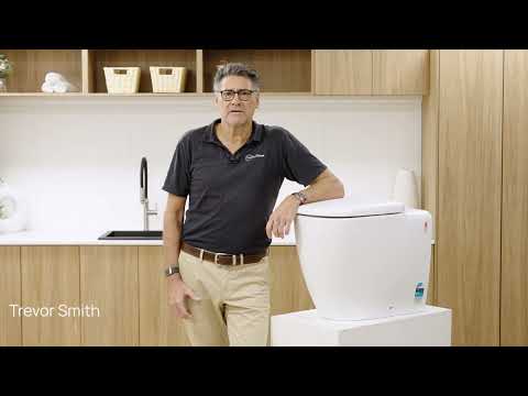 Caroma Contura II Behind the Wall Toilet