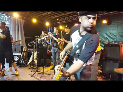 Pilgrims Of Tomorrowland – live