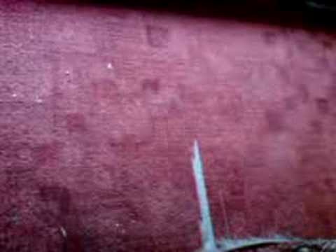 Niech się mury pną do góry!