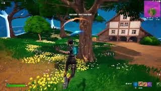Fortnite　フレンドと　Live配信