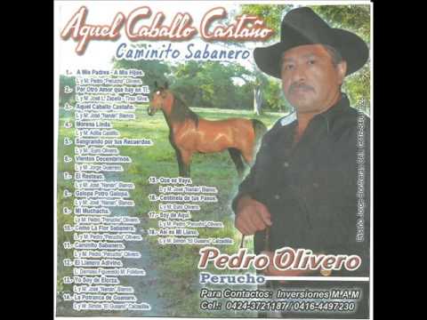 Pedro Olivero El Llanero Adivino