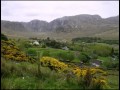 The Wolfe Tones - Whelan's frolics