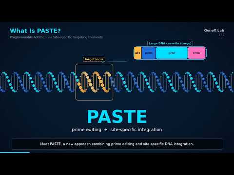 PASTE Genome Editing: Can Large DNA Insertion Reach Crops?